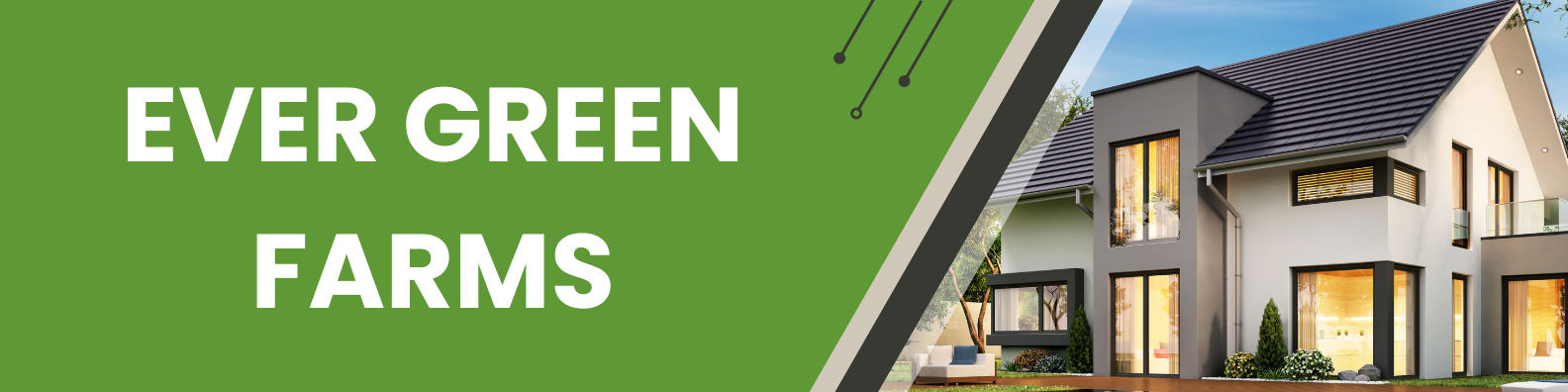 Green Modern Real Estate Agent Linkedin Banner (3)